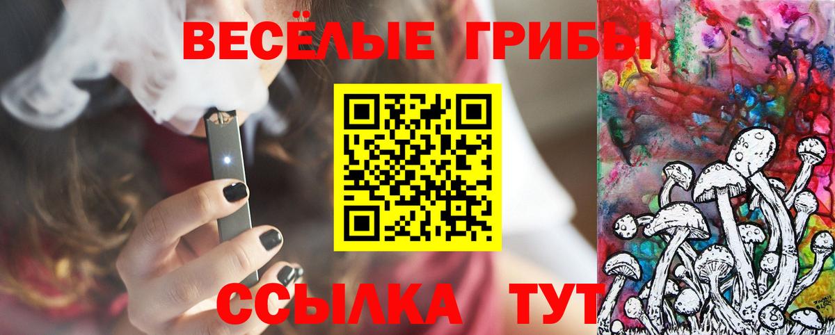 купить наркоту  Псилоцибиновые грибы прущие грибы  Псилоцибиновые грибы MAGIC MUSHROOMS  Вход с VPN  Тосно 