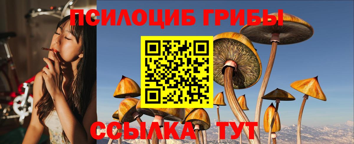 Галлюциногенные грибы мицелий Тосно